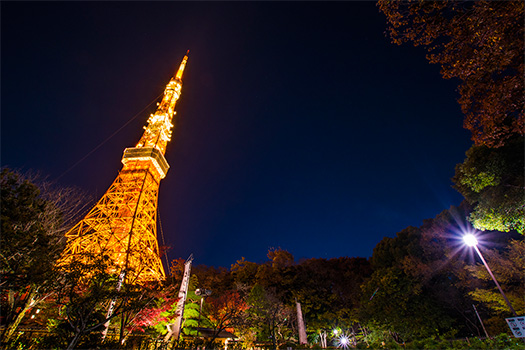 東京タワー